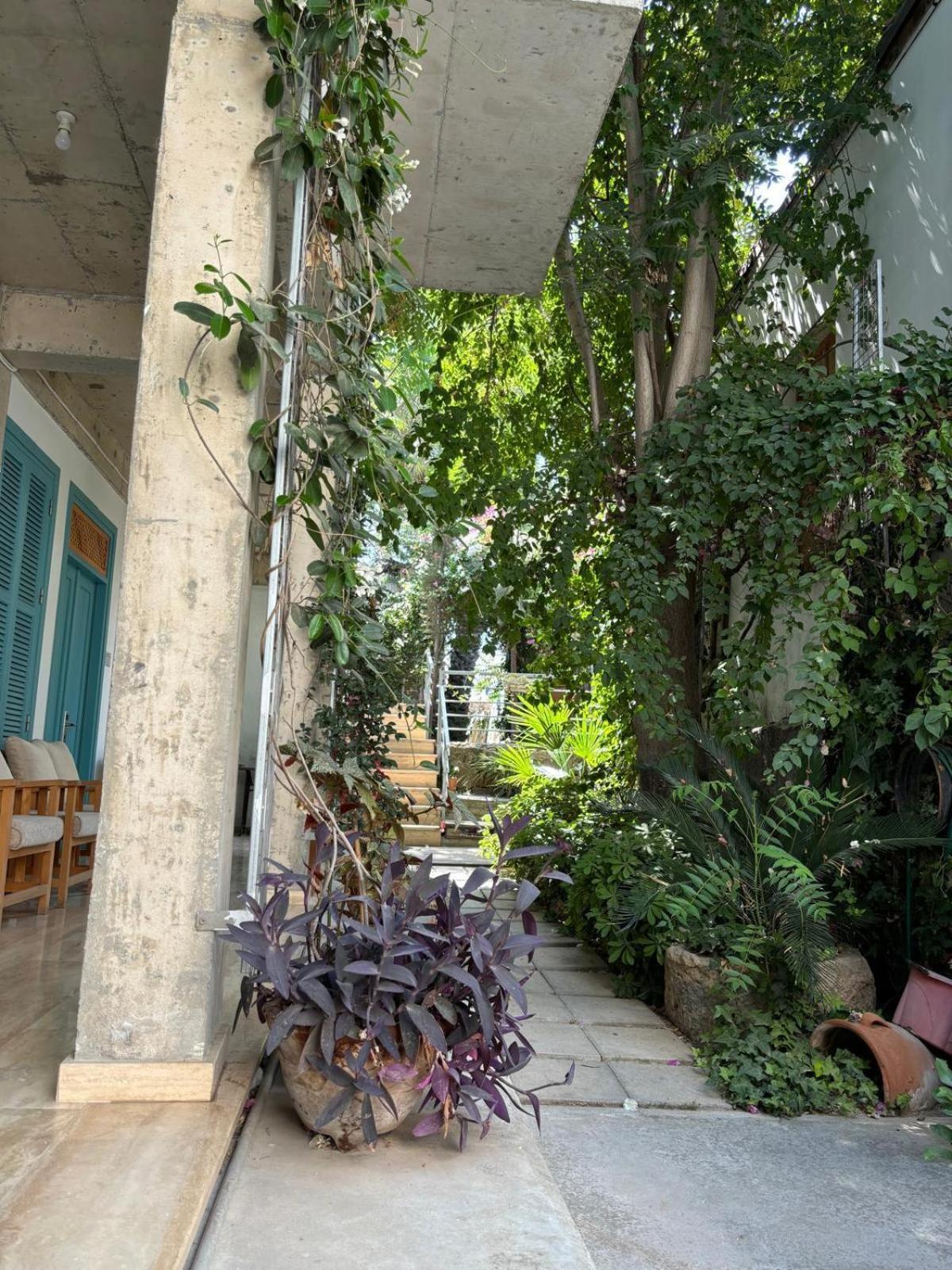 Nicosia Eagle Eye Hotel Eksteriør billede